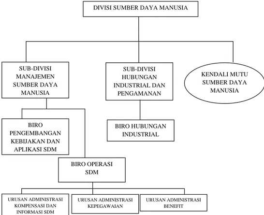 Gambar 3.3 Struktur Organisasi pada Divis SDM 