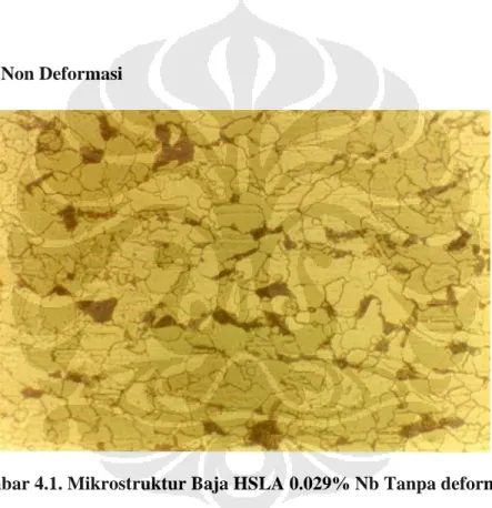 Gambar 4.1. Mikrostruktur Baja HSLA 0.029% Nb Tanpa deformasi  perbesaran 500x dan etsa nital 