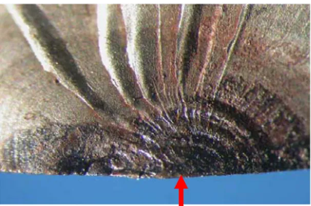 Foto makro di lokasi awal patah lelah dengan lebar daerah patah lelah 4-5 mm (tanda panah) dan    mempunyai perambatan alur garis pantai (beachmark) yang merupakan ciri patah lelah