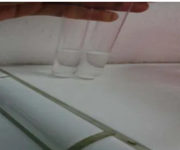 Gambar  12. Filtrat 