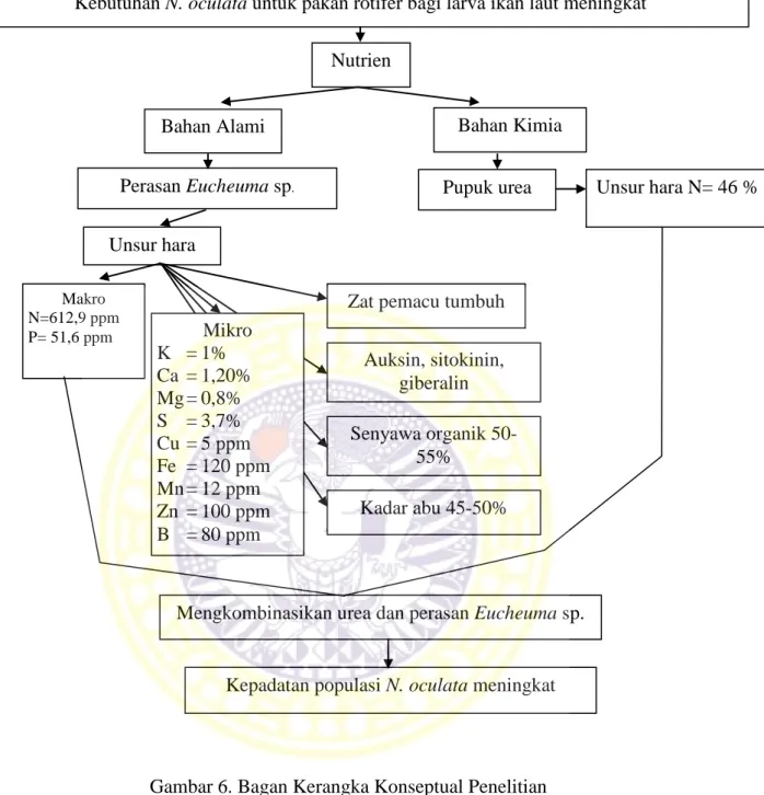 Gambar 6. Bagan Kerangka Konseptual Penelitian  Nutrien  