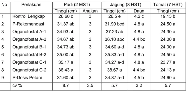 Tabel 6. Respon tanaman terhadap perlakuan pupuk organofosfat A, B dan C di rumah kaca  No  Perlakuan  Padi (2 MST)  Jagung (8 HST)  Tomat (7 HST) 