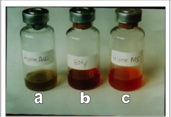 Gambar  1.  Hasil  Ekstrak  Hipokotil  Morinda  citrifolia  (a),  Kalus  pada  Medium     B-5 (b) dan Kalus pada Medium MS (c) 