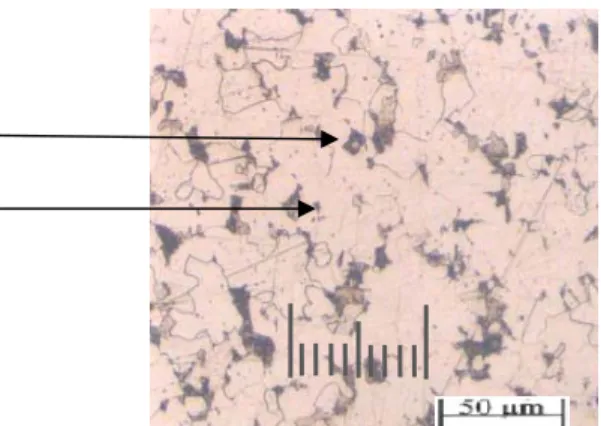 Gambar 4.3. Struktur mikro bagian tengah spesimen carburizing. 