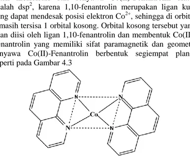 Gambar 4. 3 Struktur Segiempat Planar Co(II)-Fenantrolin  4.3 Pembuatan Kurva Kalibrasi 