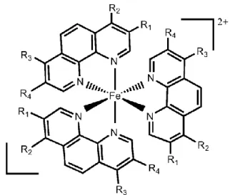 Gambar 2. 4 Struktur kimia kompleks Fe(II)-Fenantrolin 