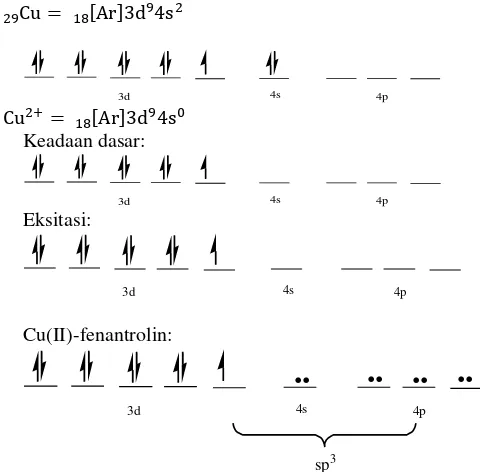 Gambar 5. Hibridisasi kompleks Cu(II)-fenantrolin 