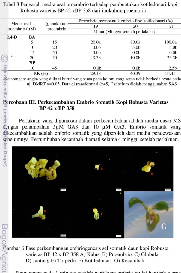 Tabel 8 Pengaruh media asal proembrio terhadap pembentukan kotiledonari kopi      Robusta varietas BP 42 xBP 358 dari inokulum proembrio 