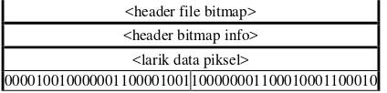 Gambar 3.5 Contoh data bitmap file citra penyisip. 