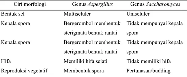 Tabel 7.  Perbandingan ciri  Aspergillus sp dan Saccharomyces sp