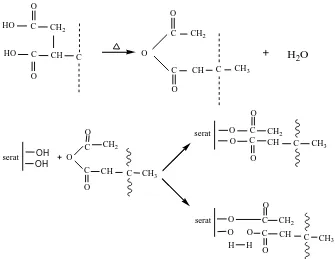Gambar 2.9.1. Mekanisme reaksi serat dengan PP-g-Ma (sumber : Malkapuram, 2009)  