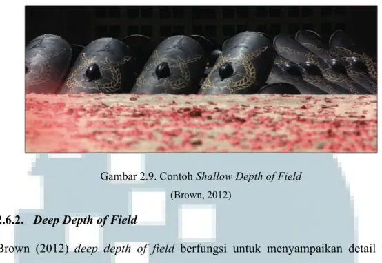 Gambar 2.9. Contoh Shallow Depth of Field  (Brown, 2012) 