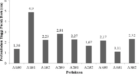 Gambar 6. Pertambahan tinggi pucuk stek makadamia (Macadamia integrifolia) umur 12  MST pada perlakuan yang berbeda