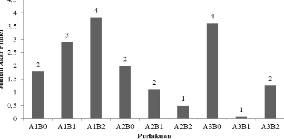 Gambar 7. Jumlah akar primer stek makadamia (Macadamia integrifolia) umur 12 MST  pada perlakuan yang berbeda