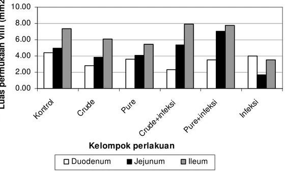 Gambar 14. Rataan luas permukaan villi (mm 2 ) usus halus 