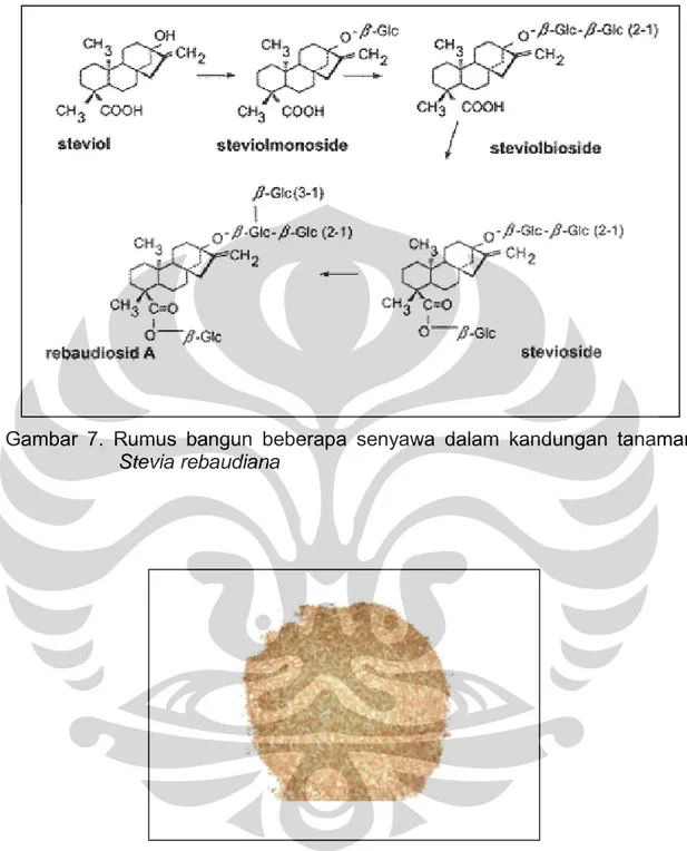 Gambar  7.  Rumus  bangun  beberapa  senyawa  dalam  kandungan  tanaman  Stevia rebaudiana 