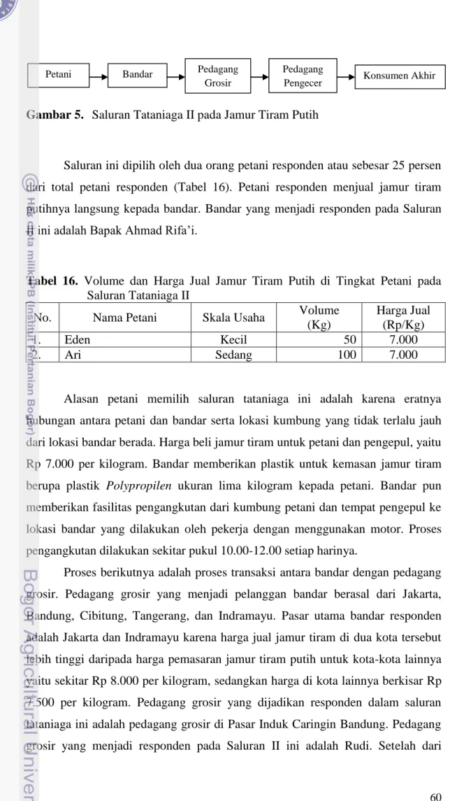 Tabel  16.  Volume  dan  Harga  Jual  Jamur  Tiram  Putih  di  Tingkat  Petani  pada      Saluran Tataniaga II 
