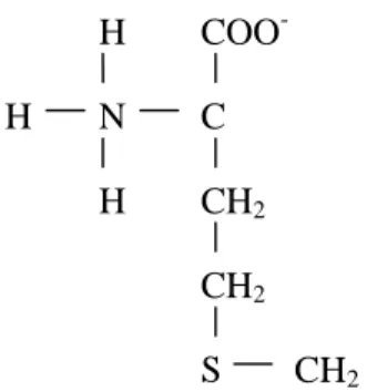 Gambar 5  Struktur kimia metionin 