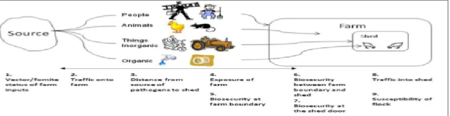 Gambar 1.   Sebuah model biosekuriti pada peternakan ayam yang menujukan area dimana penerapan biosekuriti bisa dievaluasi atau dinilai  (Patrick and Jubb, 2010) 