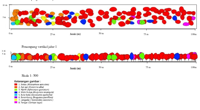 Gambar 3.1 Sebaran dan profil vegetasi secara vertikal dan horizontal Jalur 1 