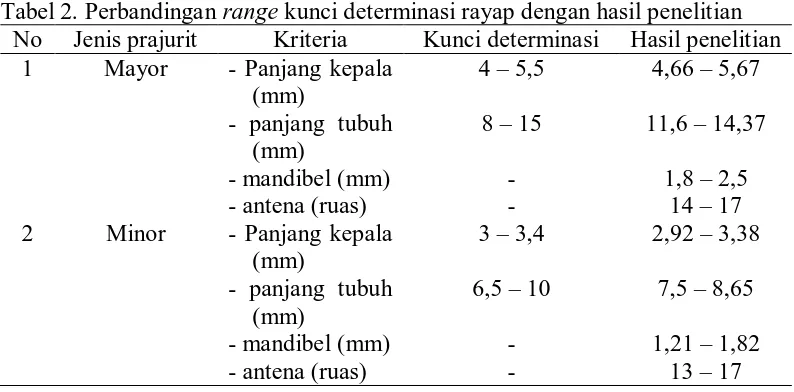 Tabel 2. Perbandingan range kunci determinasi rayap dengan hasil penelitian No Jenis prajurit Kriteria Kunci determinasi Hasil penelitian 