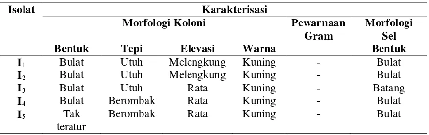 Tabel 1. Karakterisasi Morfologi Bakteri Penghasil IAA 