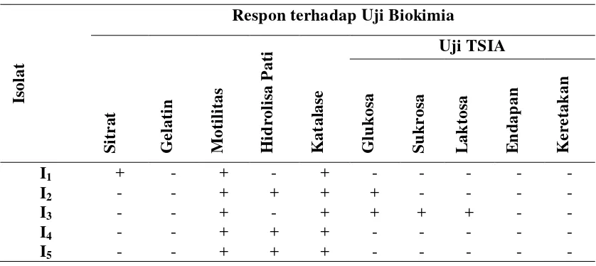 Tabel 2. Uji Biokimia Bakteri Penghasil IAA 
