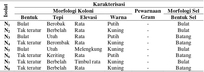 Tabel 4. Karakterisasi Morfologi Bakteri Penambat Nitrogen 