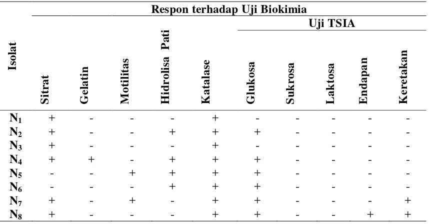 Tabel 5. Karakterisasi Biokimia Bakteri Penambat Nitrogen 