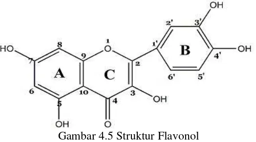 Gambar 4.5 Struktur Flavonol 