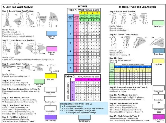 Gambar 2.6 Rula Employee Assessment worksheet 