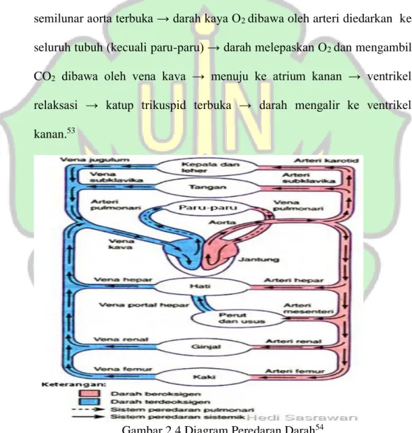 Gambar 2.4 Diagram Peredaran Darah 54 ____________ 