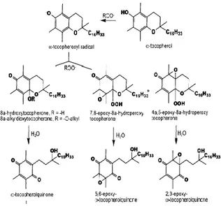 Gambar 4.   Reaksi  antara  d-alfa  tokoferol  dan  radikal peroksida 