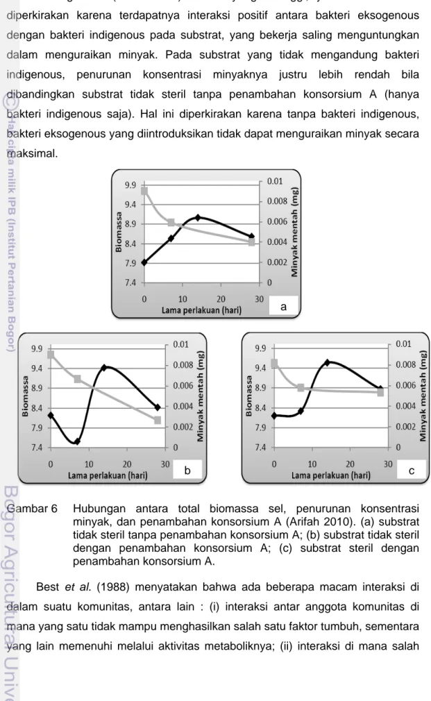 Gambar  6    Hubungan antara total biomassa sel, penurunan konsentrasi  minyak, dan penambahan konsorsium A (Arifah 2010)