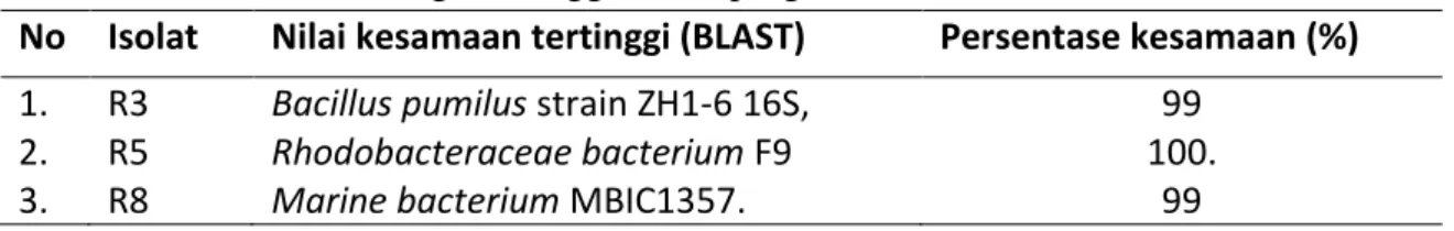 Tabel 2. Hasil analisis penjajaran urutan nukleotida parsial gen pengkode 16S rRNA dari 3  kultur bakteri dengan menggunakan program BLAST 