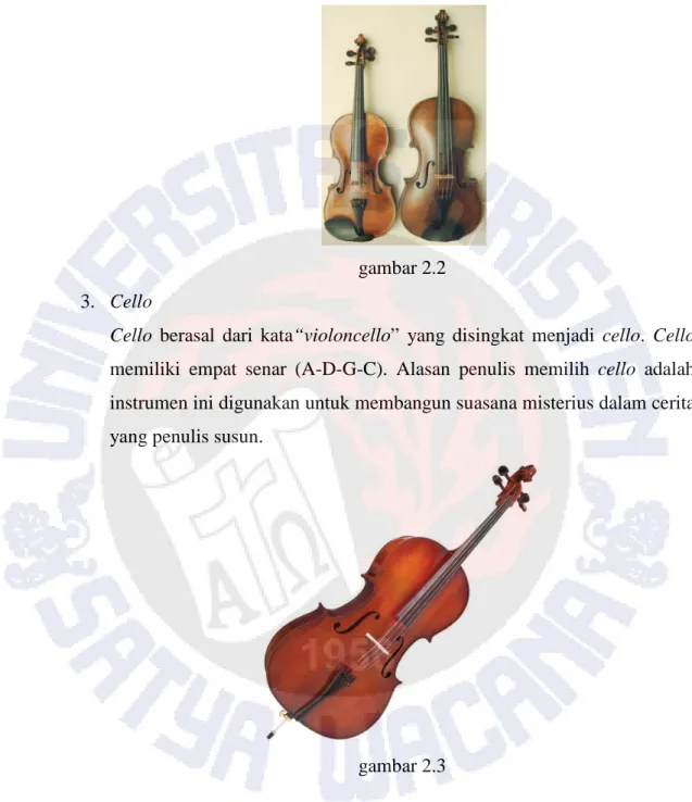 gambar 2.2  3.  Cello  