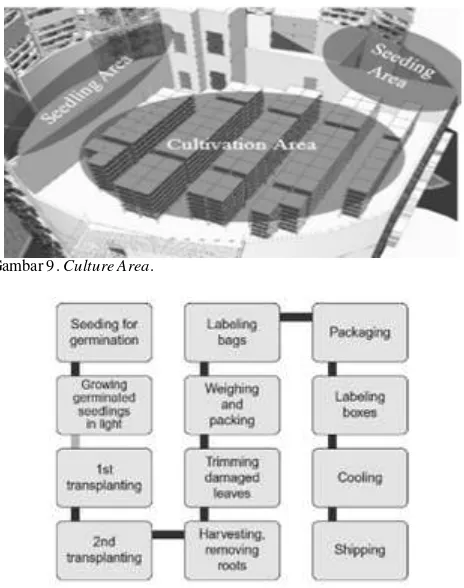 Gambar 9. Culture Area. 