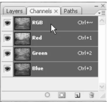 Gambar 1.9. Memilih Channels RGB 