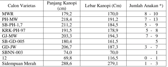 Tabel  2.  Rata-rata  panjang  dan  lebar  kanopi  tanaman    salak  pada  umur,5  tahun  serta  jumlah   anakan tanaman salak pada umur 2 tahun 