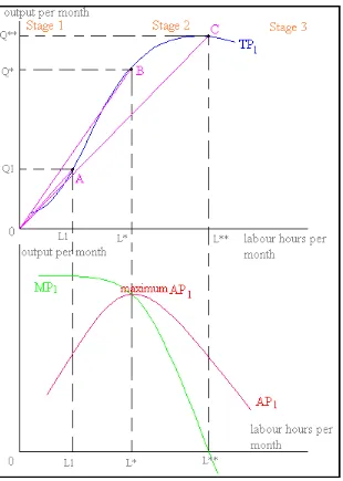 Gambar 1. Kurva Law of Diminishing Returns 