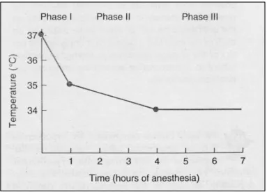 Gambar 5 . Pola penurunan suhu selama anestesia umum  12       (Dikutip dari : Miller RD, tahun 2000) 