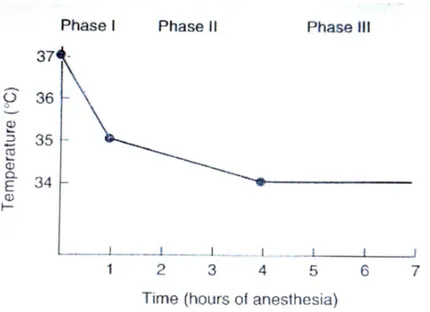 Gambar 2.5 Pola penurunan suhu selama anestesi umum (Miller, 2000) 