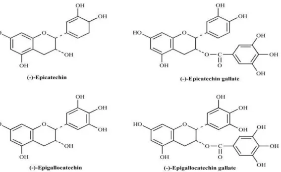 Gambar 2.  Struktur kimia katekin                  Sumber : Velayutham dkk. (2008) 