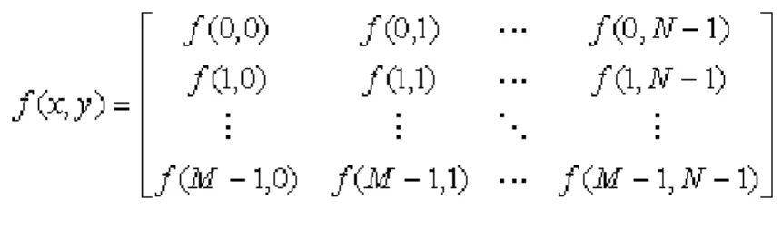 Gambar 2.2 Matriks Citra Digital [6] 