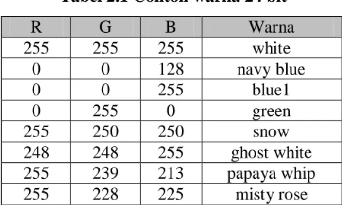 Tabel 2.1 Contoh warna 24 bit 