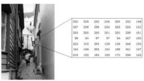 Gambar 2.6 Citra Grayscale (Wahana Komputer, 2013) 