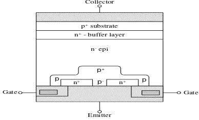 Gambar 2.3 Struktur IGBT [10] 
