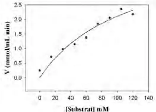 Gambar 9 Kurva Michaelis-Menten; pengaruh                   konsentrasi substrat terhadap                    kecepatan reaksi enzim