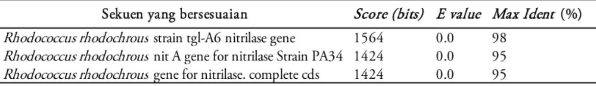 Tabel 3. Hasil analisis Blastn fragmen gen nitralase dari LP3 menggunakan primer Nit1101F dan Nit1101R  