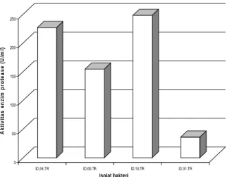 Gambar 5. Aktivitas enzim protease isolat  ID.06.TR, ID.09.TR,    ID.19.TR, ID.31.TR tumbuh dengan baik pada benzamida yaituID.02.TR (Micrococcus luteus strainG3-6-08), dan ID.22.TR (Arthrobactersp
